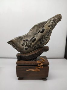 图纹石精品增辉 漳州海峡两岸赏石文化交流展预览